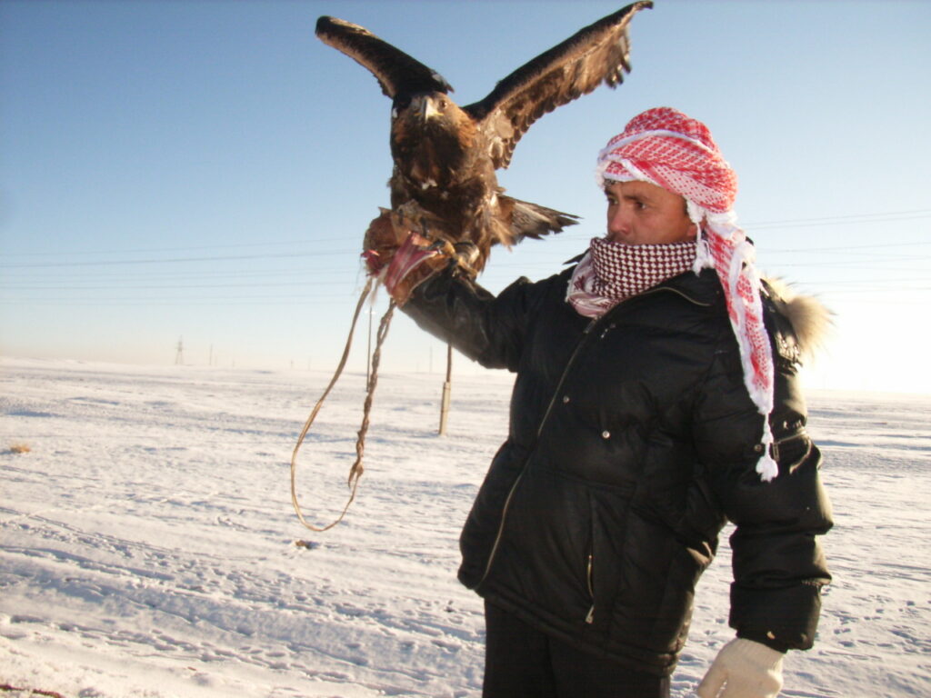 Eagle and handler in the frozen landscape of Mongolia.