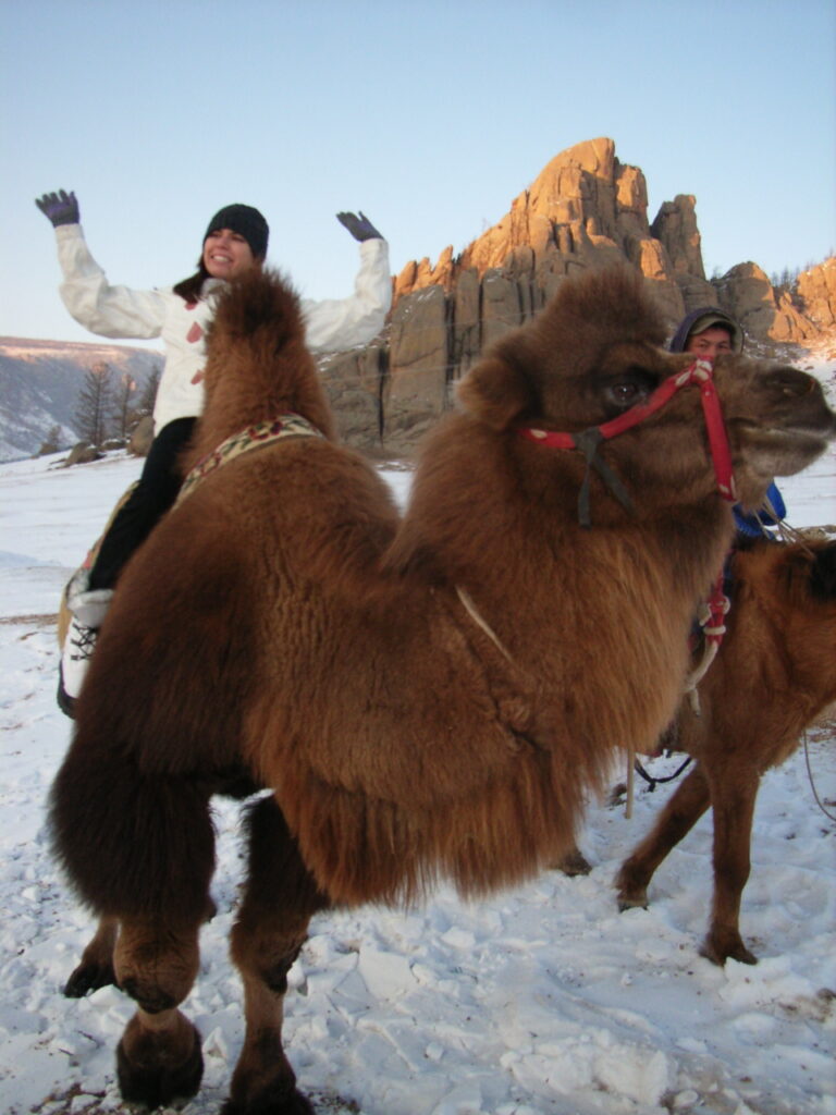 Riding Fluffy Camels 2